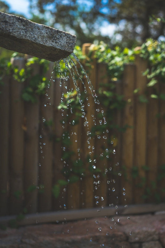 Important Things to Consider Before Moving Off the Grid!