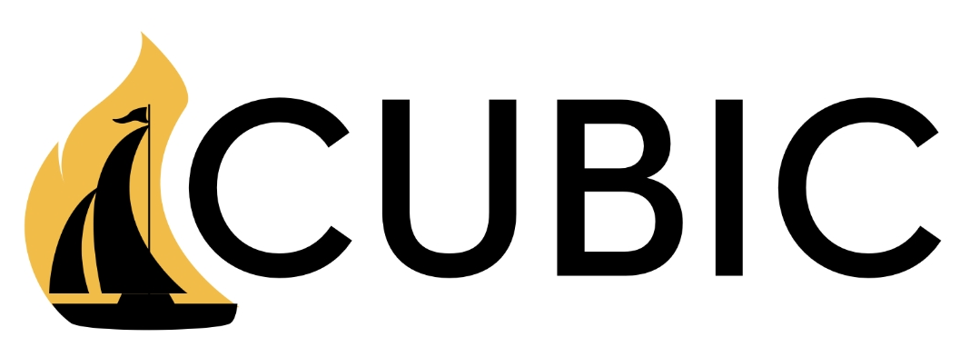 cubicminiwoodstoves.com